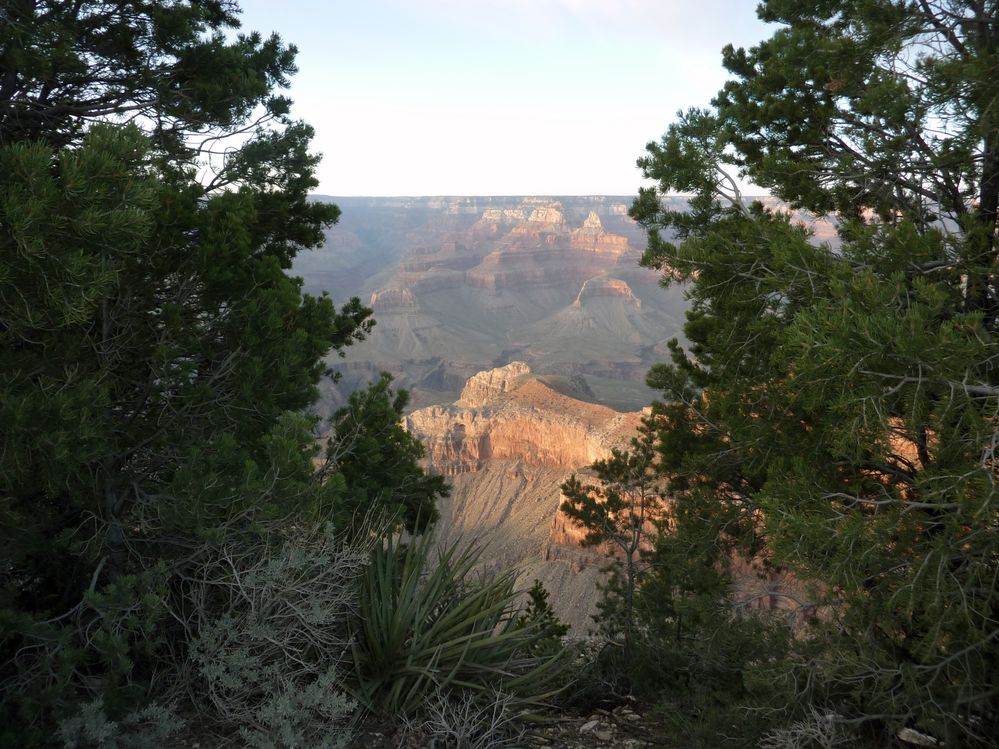 grand canyon rive sud (134).JPG
